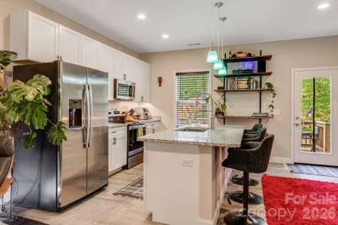 19 Shadowlawn Drive Asheville NC 28806