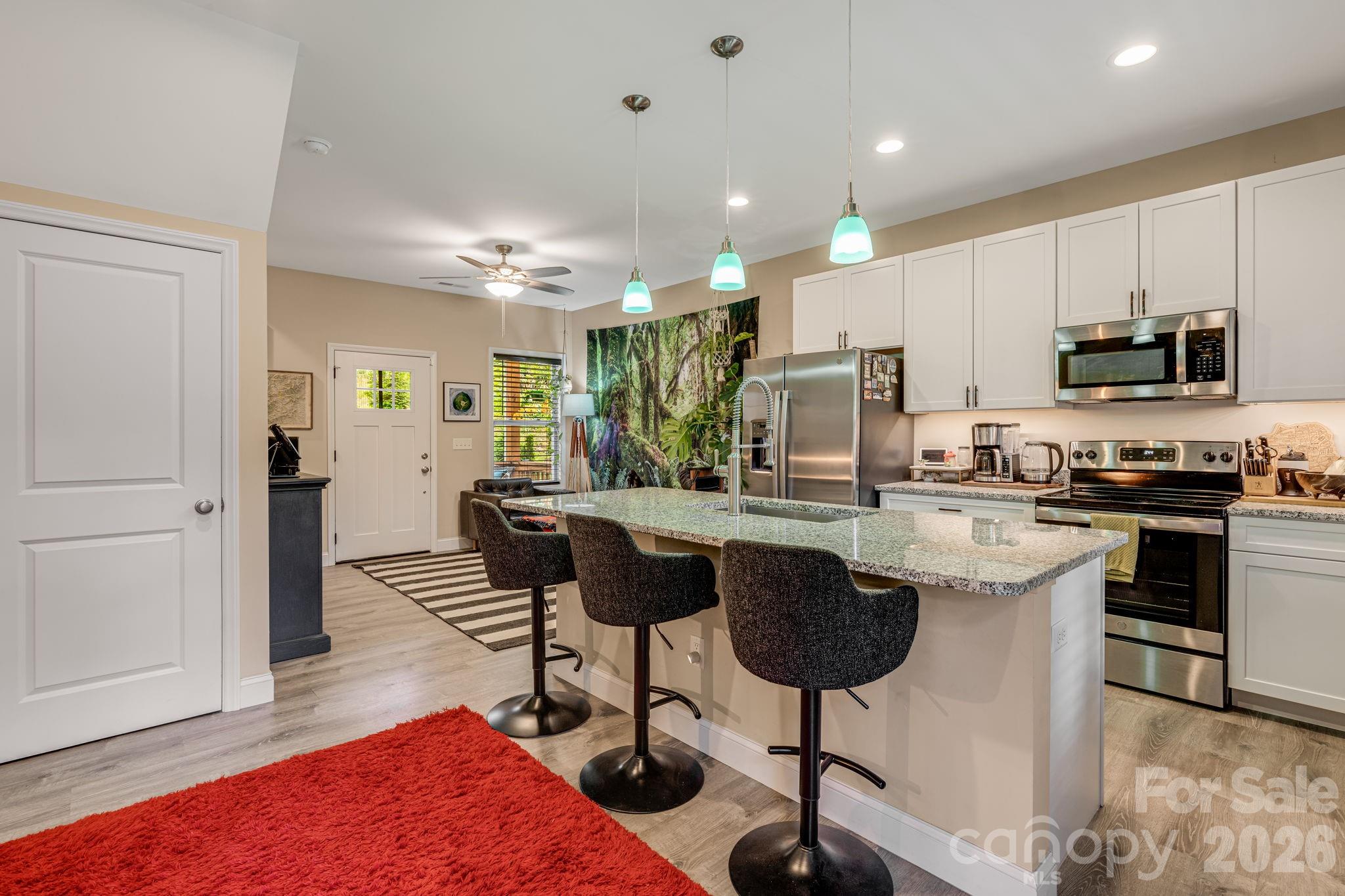 19 Shadowlawn Drive Asheville NC 28806