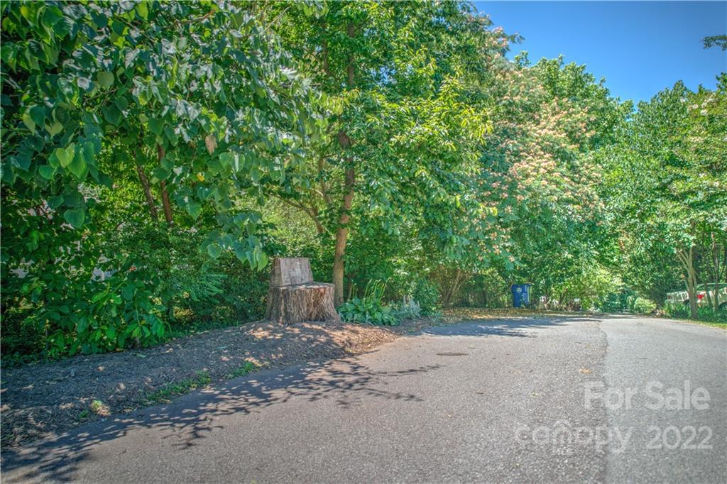 11 Louisville Place Asheville NC 28806