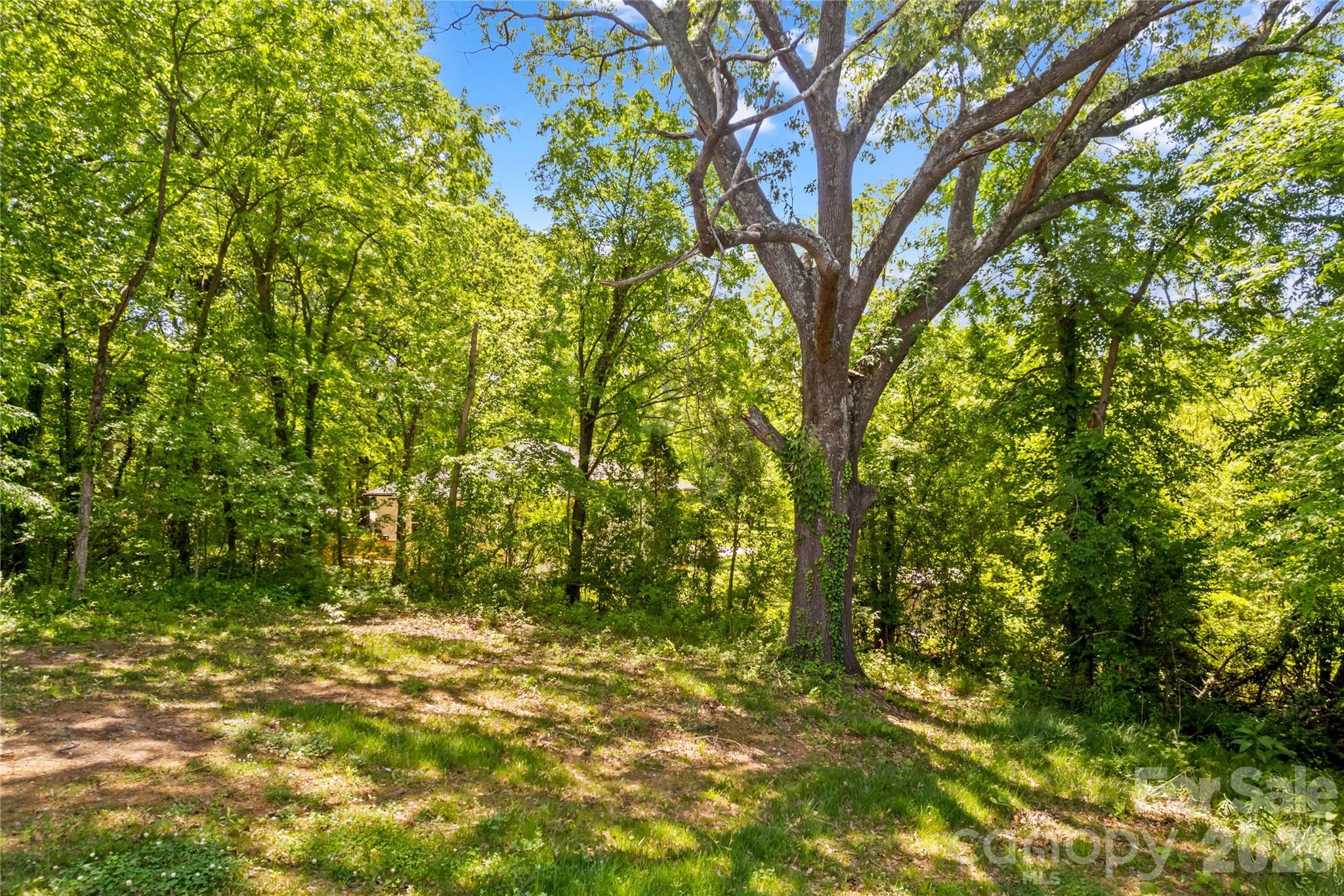 412 Royal Street Salisbury NC 28144