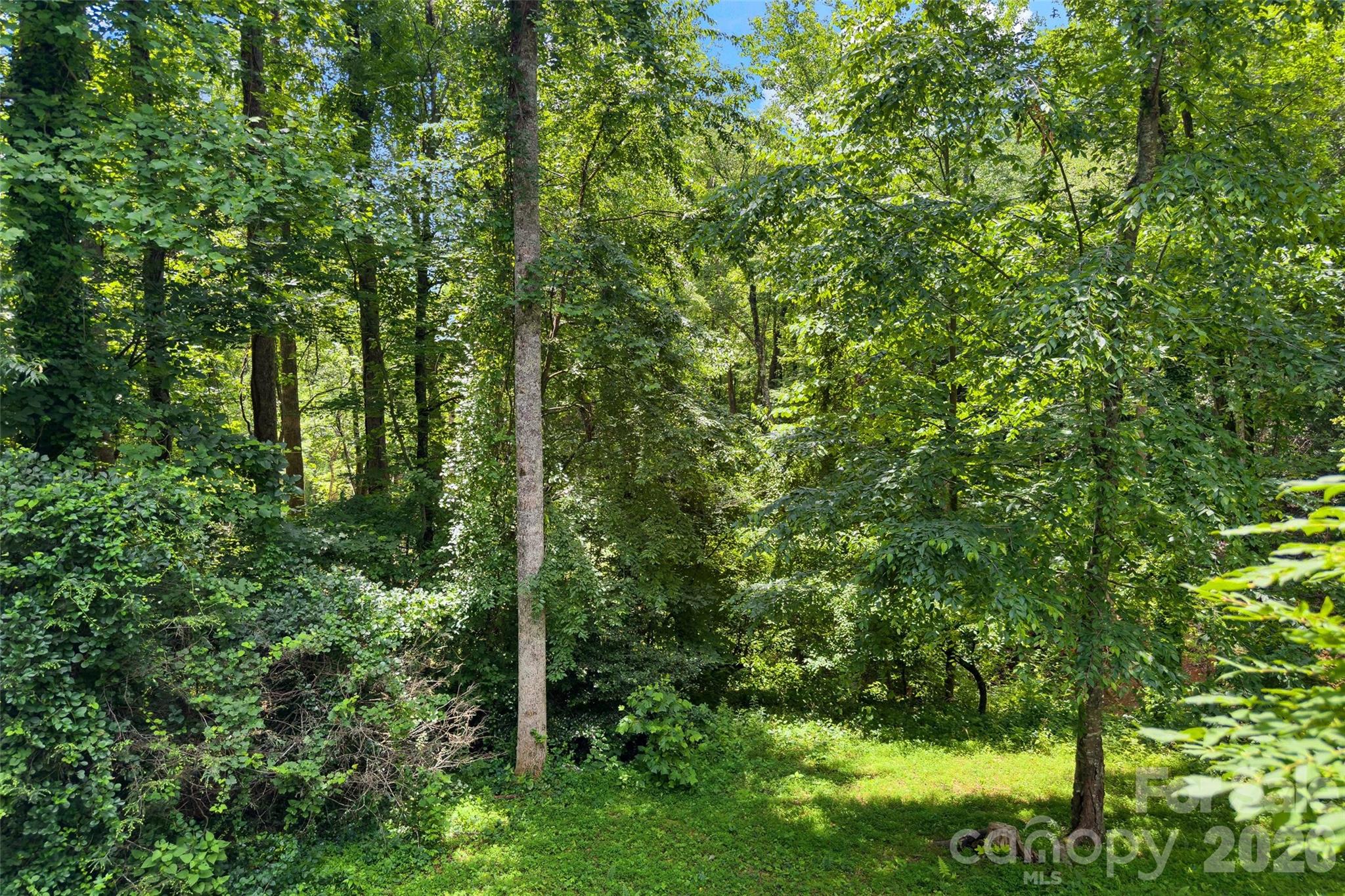 57 Rocky Branch Trail Marion NC 28752