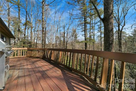 177 Walelu Court Brevard NC 28712