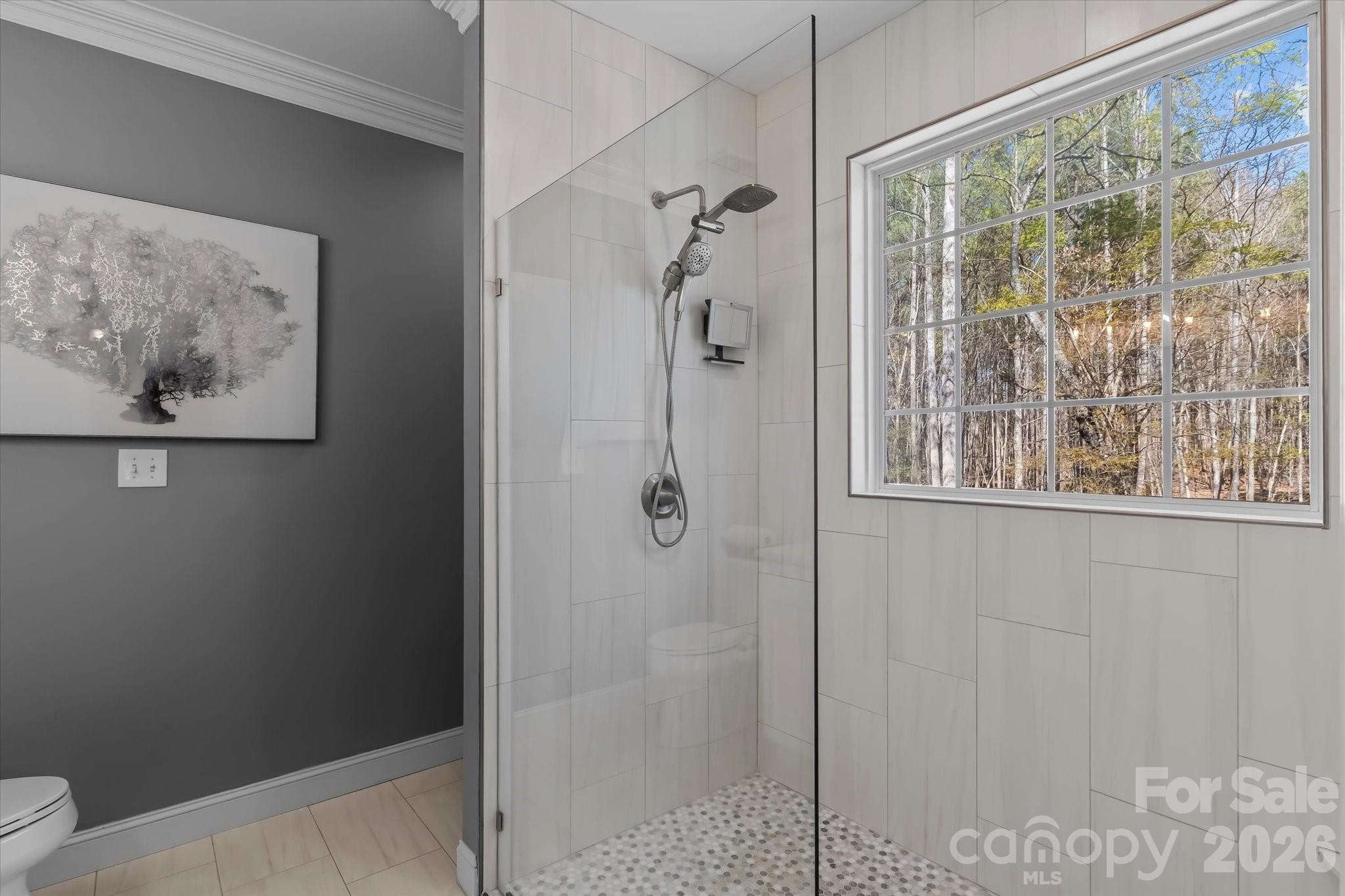 434 Catalina Drive Mooresville NC 28117
