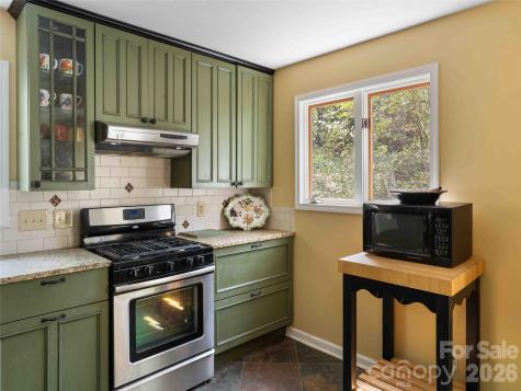 306 Southside Drive Chimney Rock NC 28720