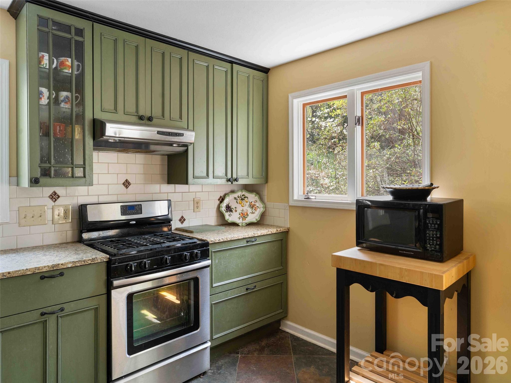 306 Southside Drive Chimney Rock NC 28720