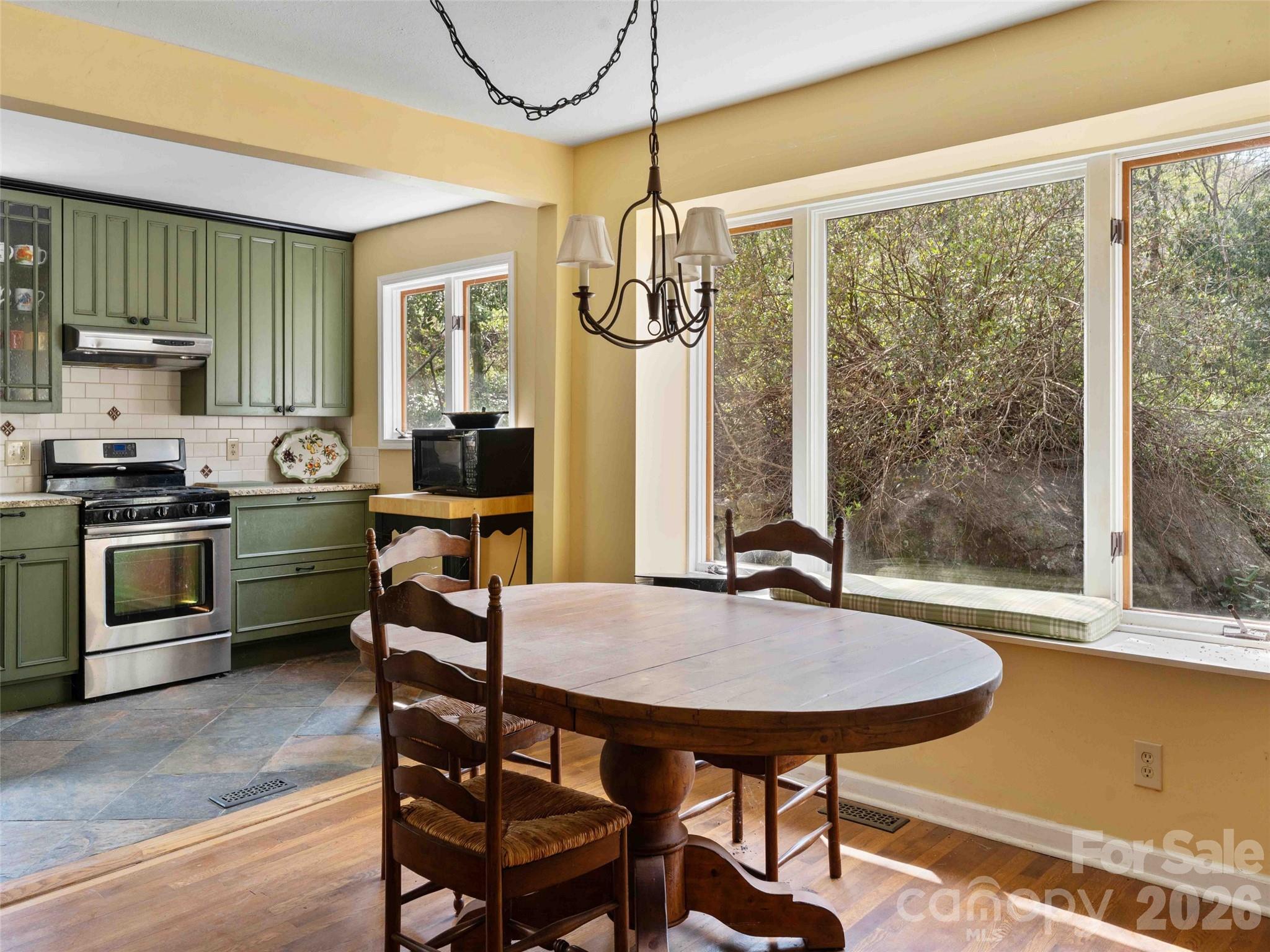 306 Southside Drive Chimney Rock NC 28720