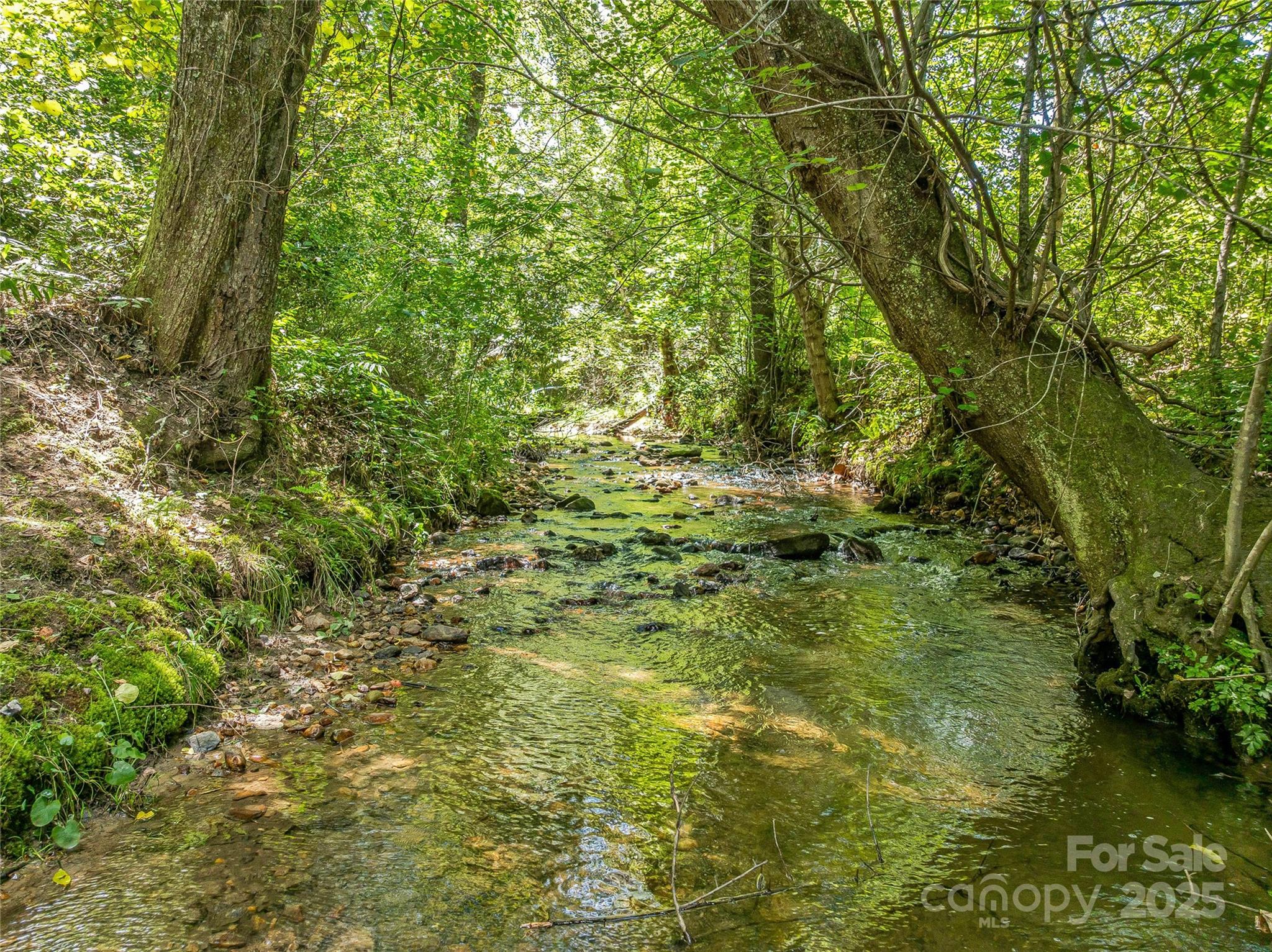 644 Walnut Valley Parkway Arden NC 28704