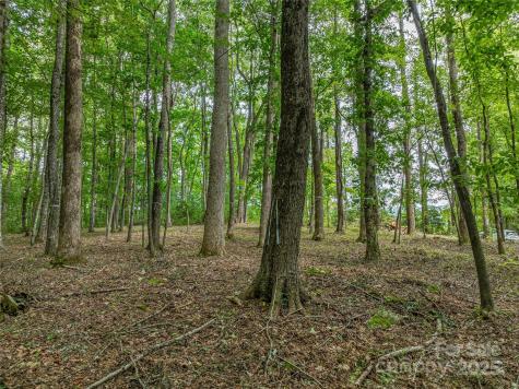 644 Walnut Valley Parkway Arden NC 28704