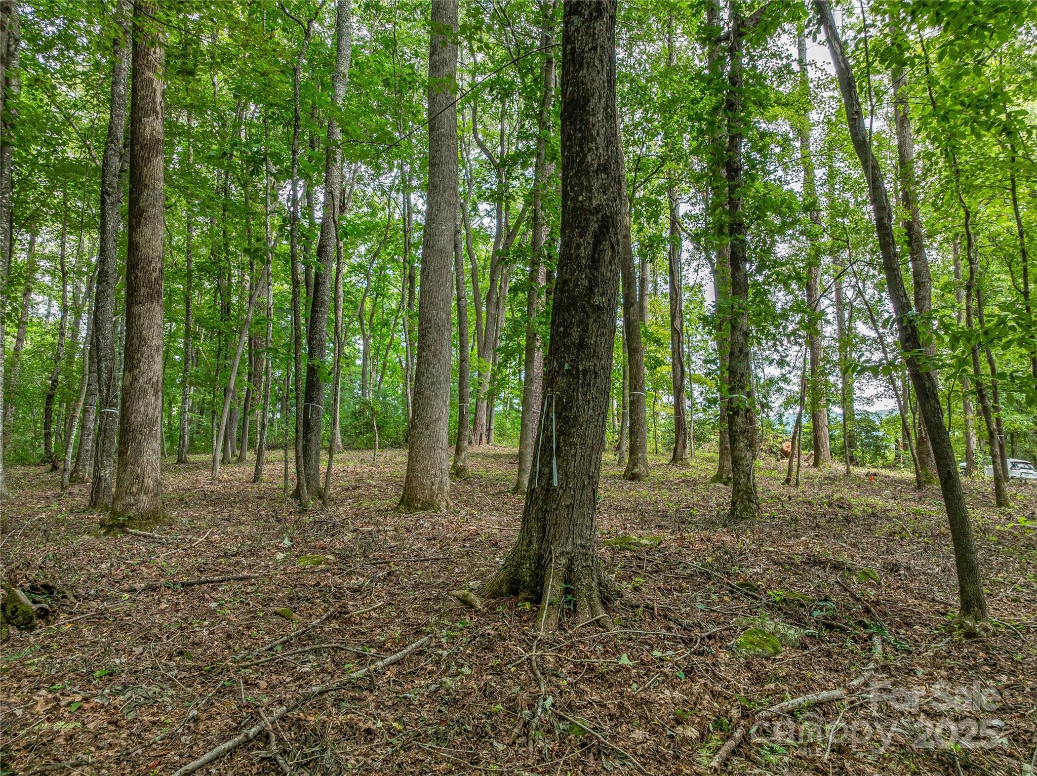 644 Walnut Valley Parkway Arden NC 28704