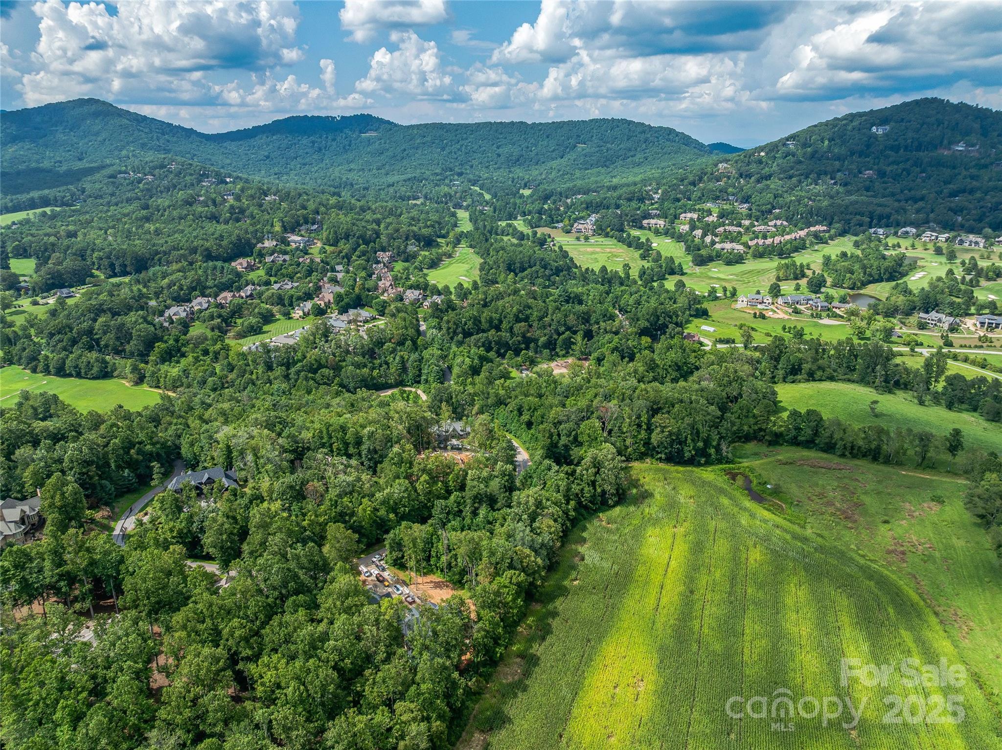 644 Walnut Valley Parkway Arden NC 28704