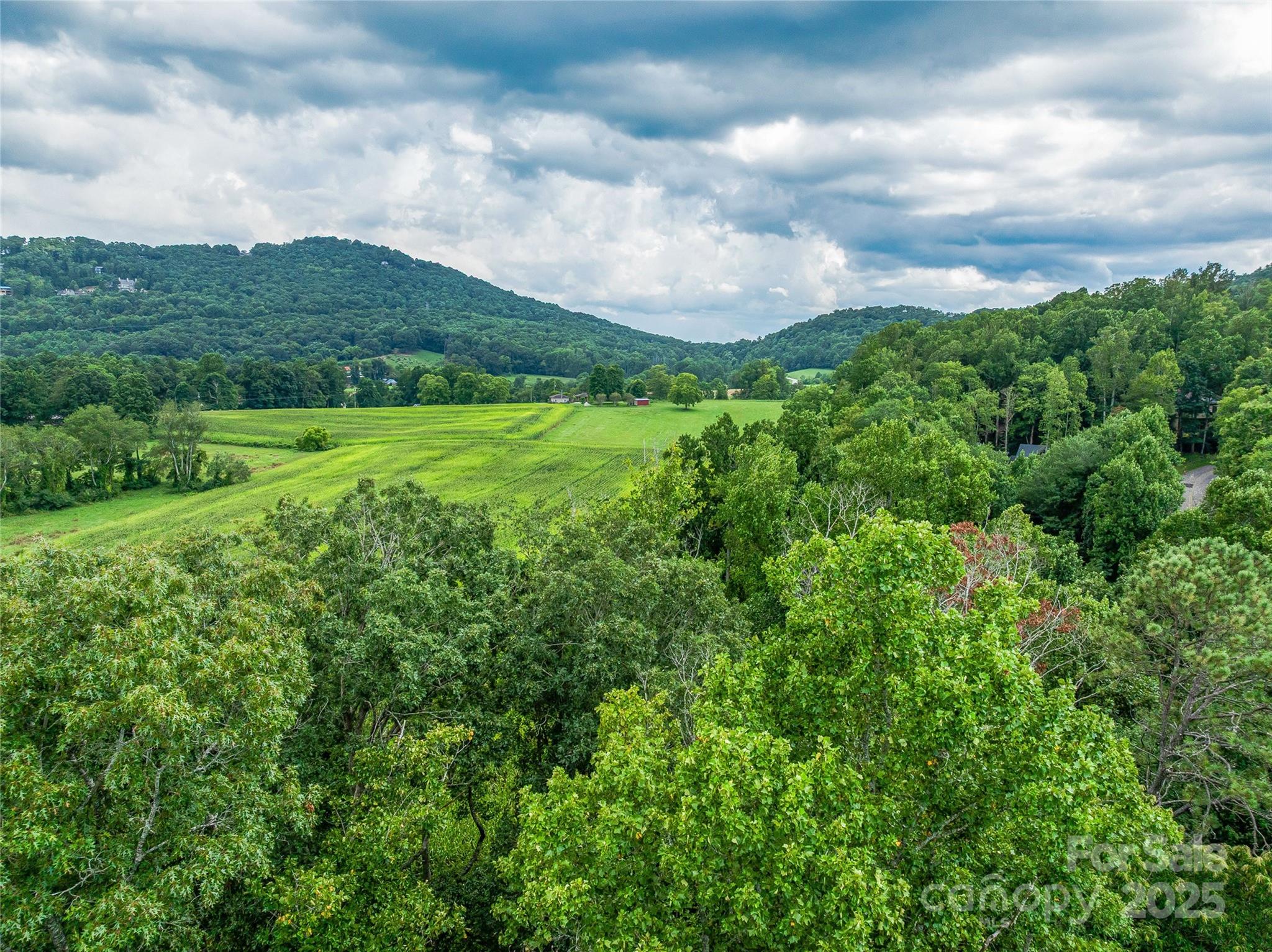 644 Walnut Valley Parkway Arden NC 28704