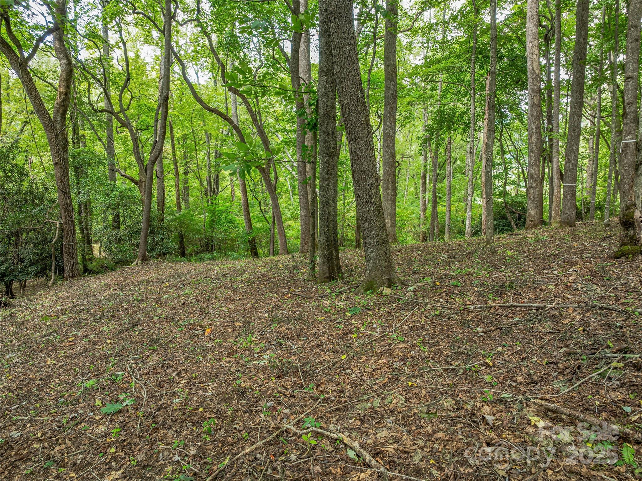 644 Walnut Valley Parkway Arden NC 28704