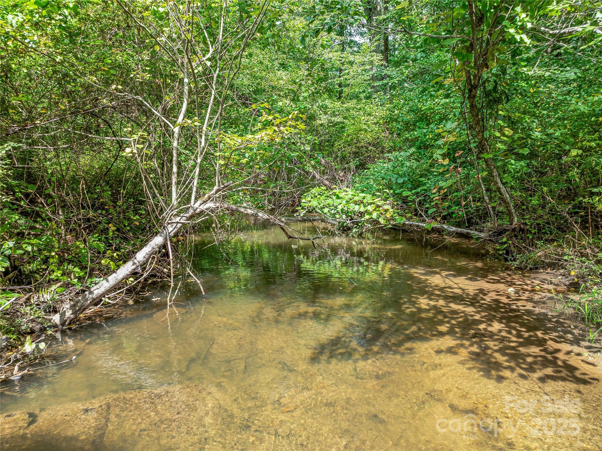 644 Walnut Valley Parkway Arden NC 28704