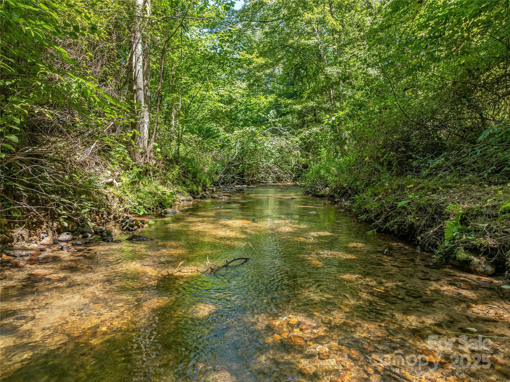 644 Walnut Valley Parkway Arden NC 28704