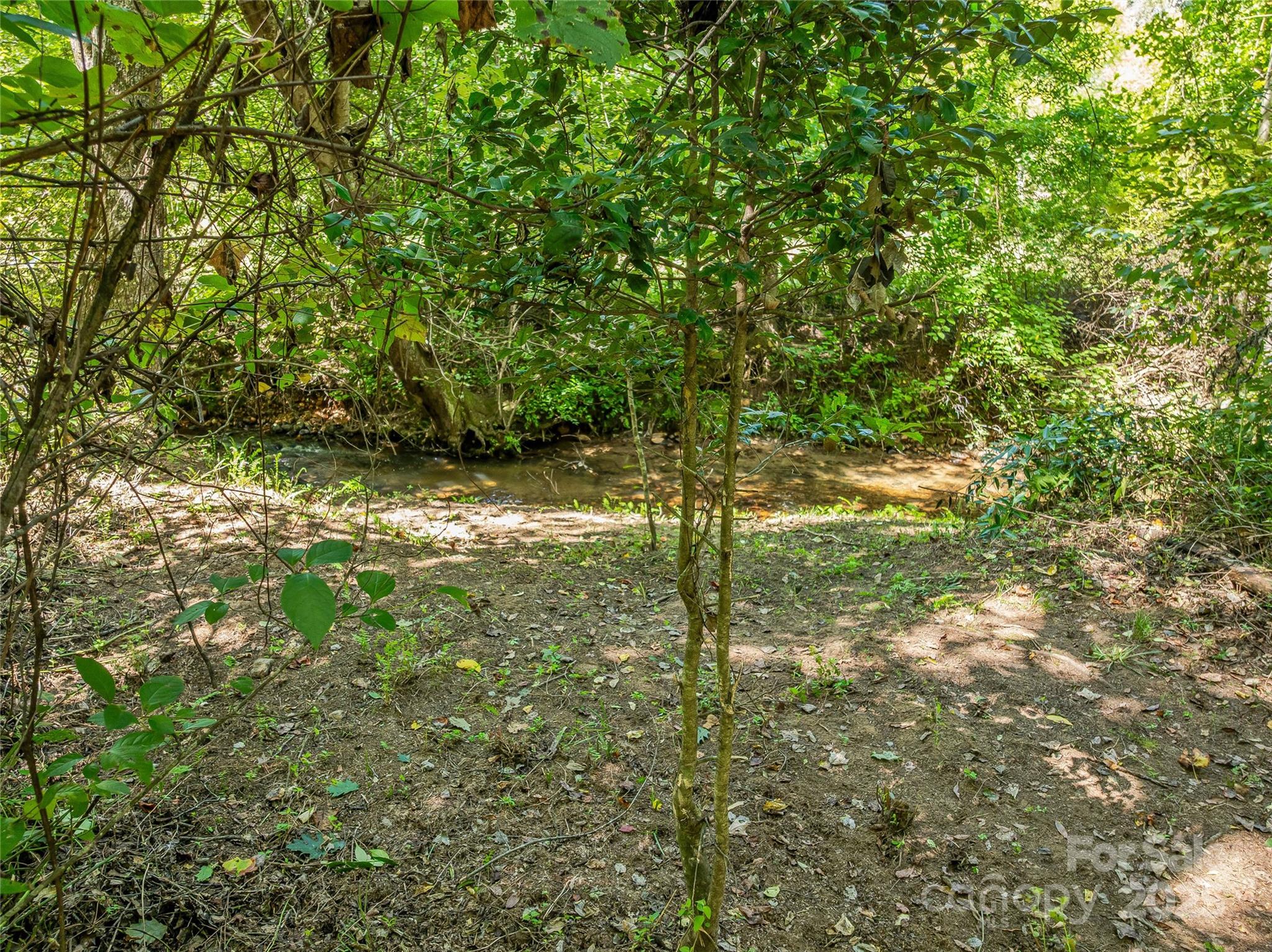 644 Walnut Valley Parkway Arden NC 28704