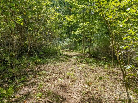 644 Walnut Valley Parkway Arden NC 28704