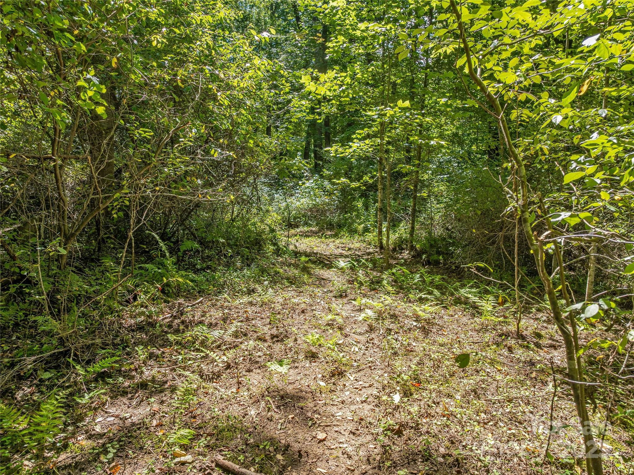 644 Walnut Valley Parkway Arden NC 28704