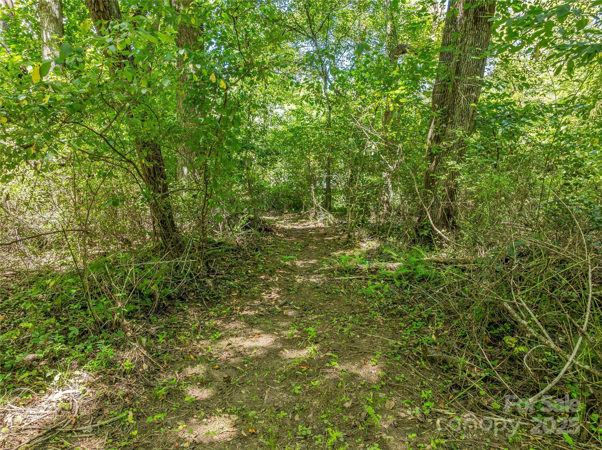 644 Walnut Valley Parkway Arden NC 28704