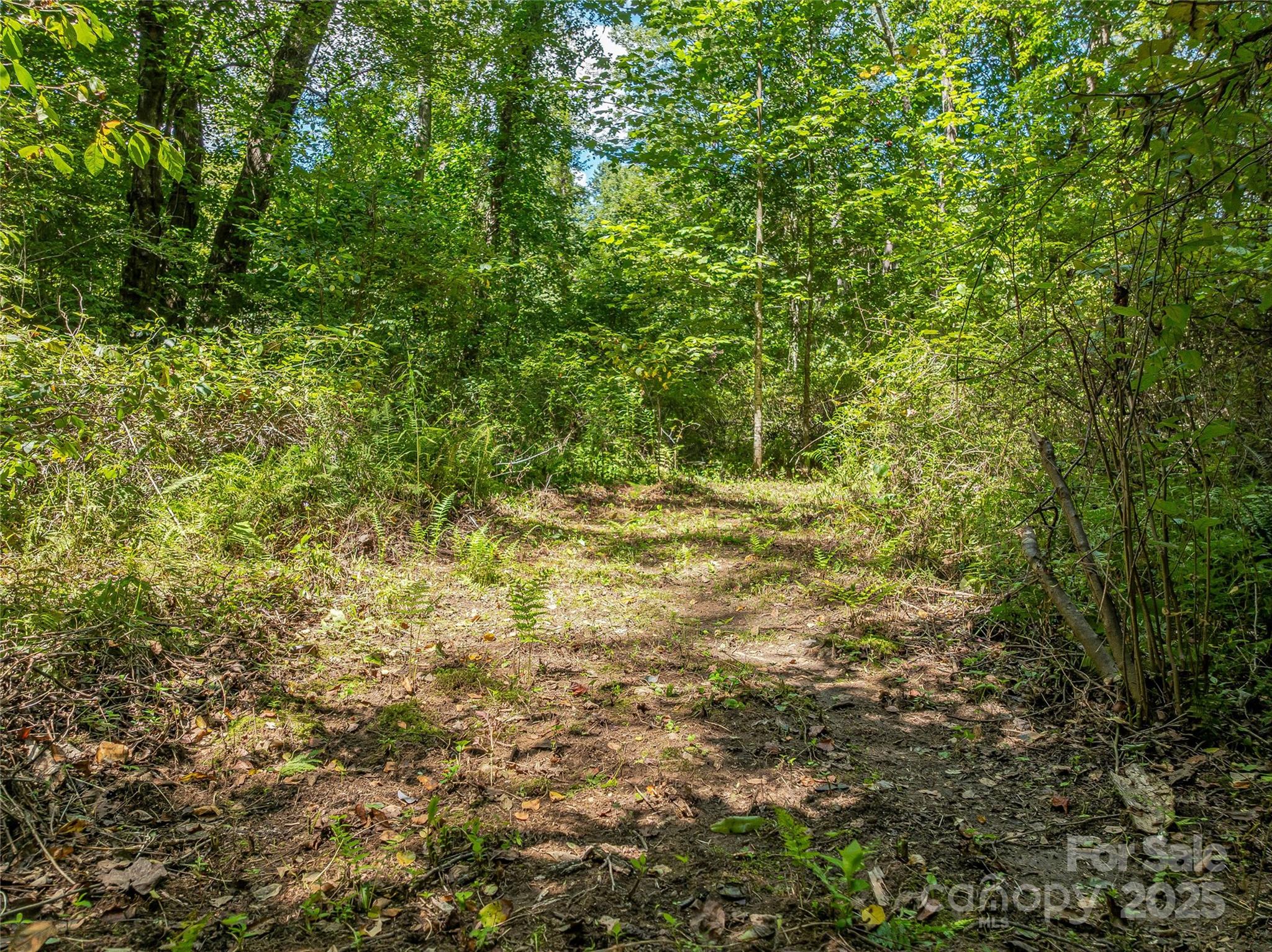 644 Walnut Valley Parkway Arden NC 28704