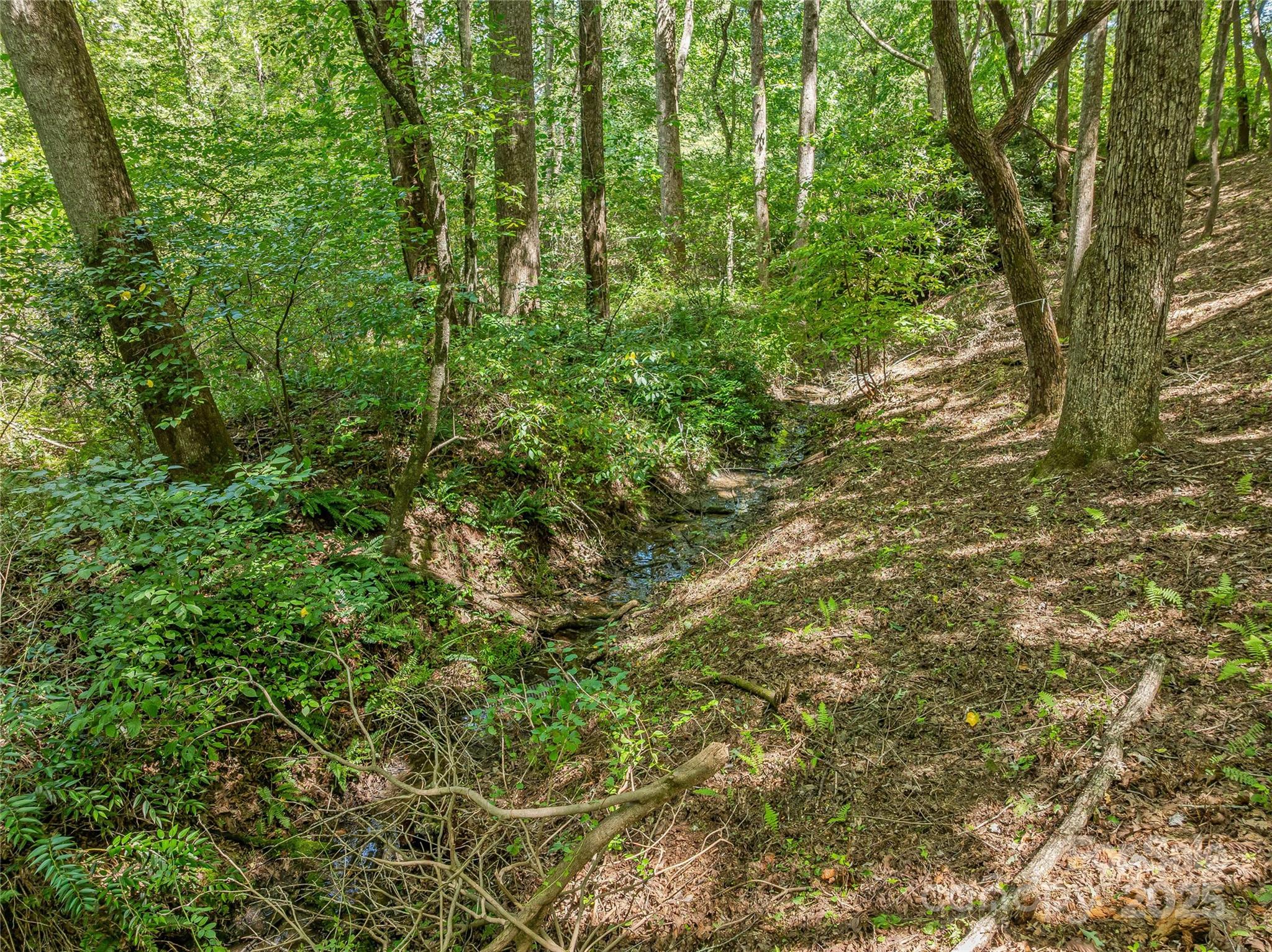 644 Walnut Valley Parkway Arden NC 28704