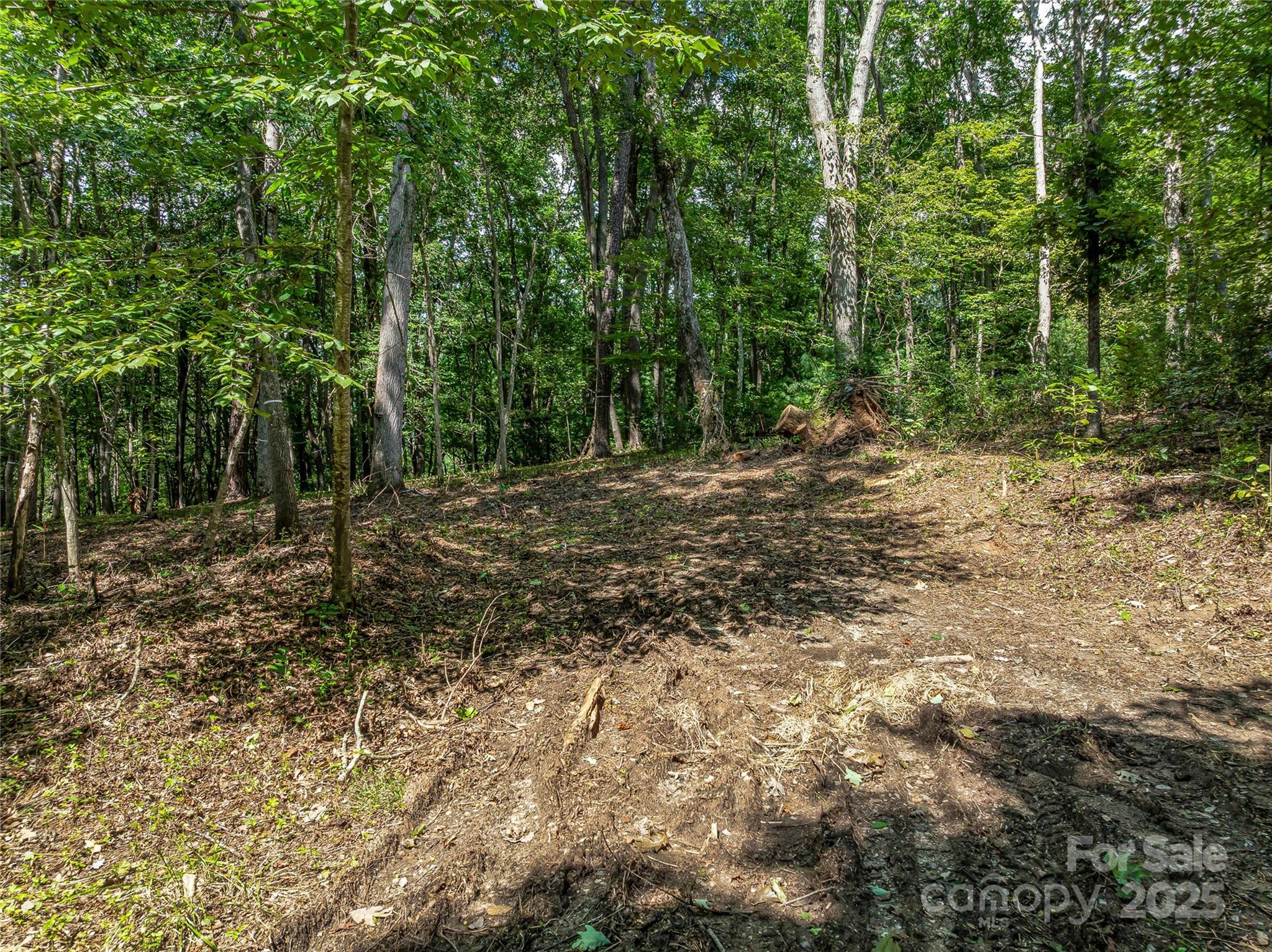 644 Walnut Valley Parkway Arden NC 28704