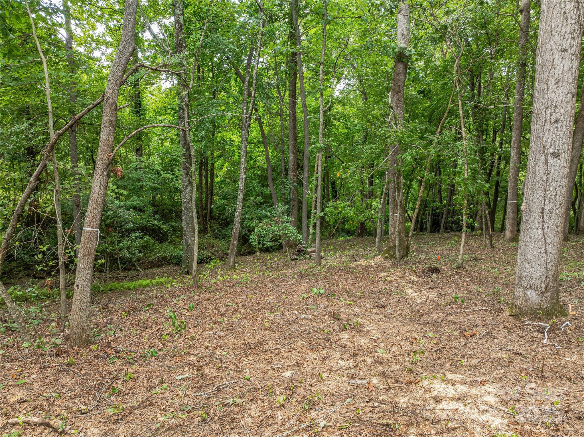 644 Walnut Valley Parkway Arden NC 28704