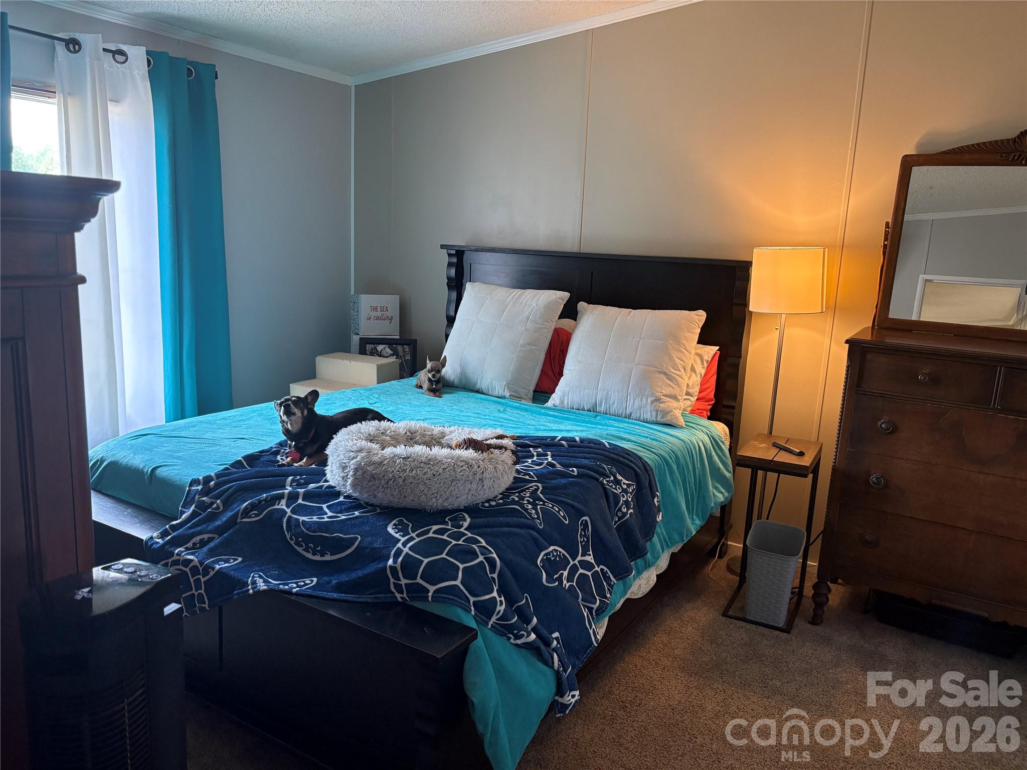 5507 Sandy Creek Court Newton NC 28658