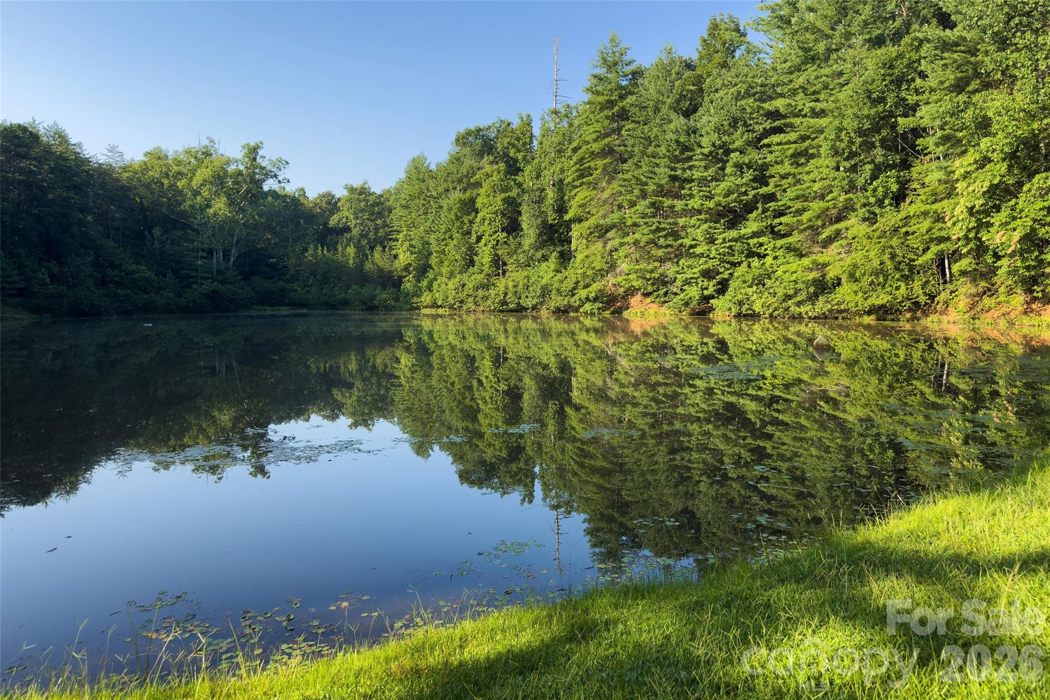 460 Cascades Parkway Nebo NC 28761