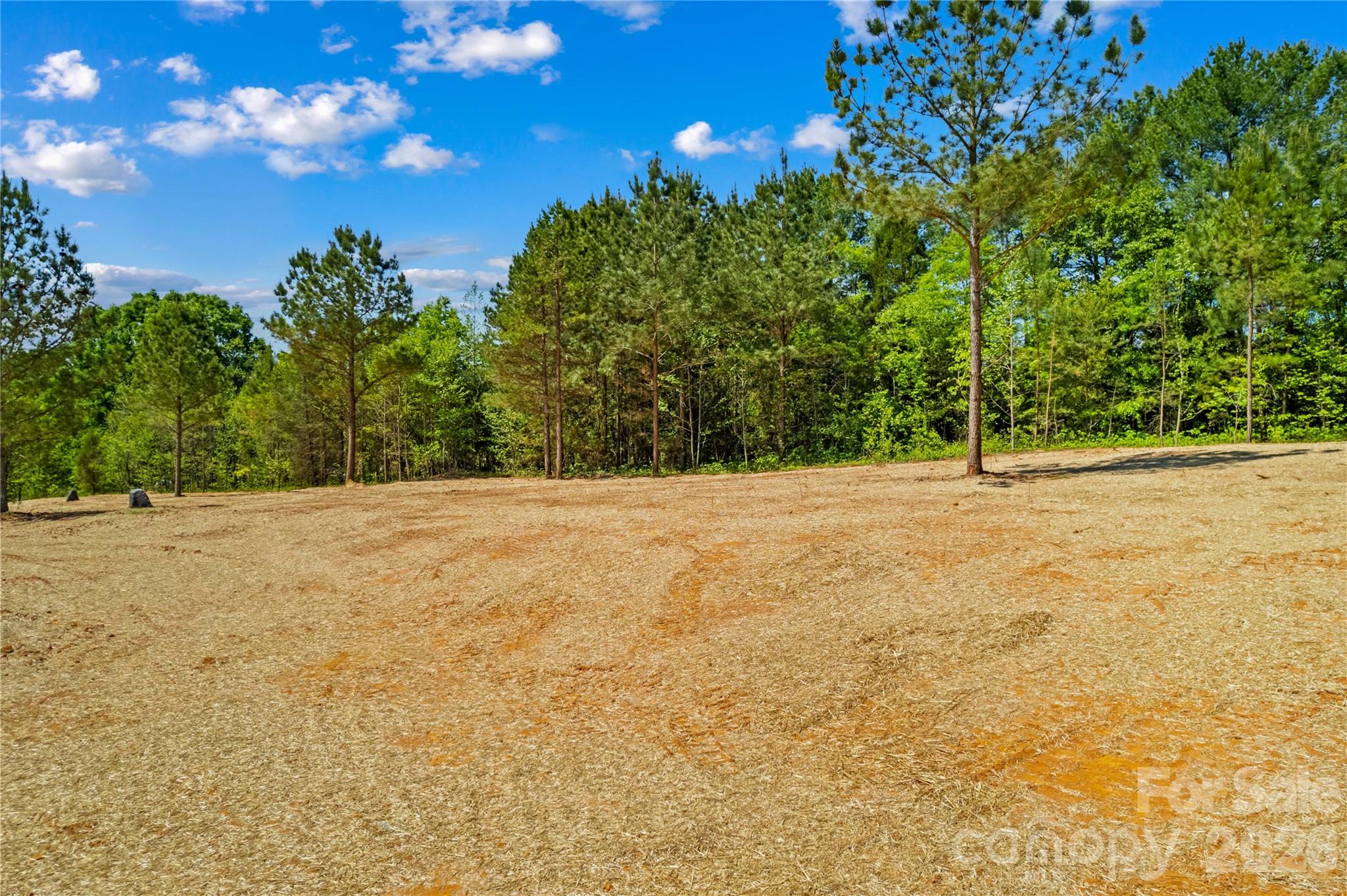6028 Bridges Street Catawba NC 28609