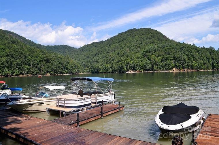 48 Allspice Court Tuckasegee NC 28783