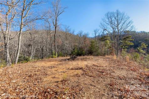 0000 Sourwood Road Canton NC 28716