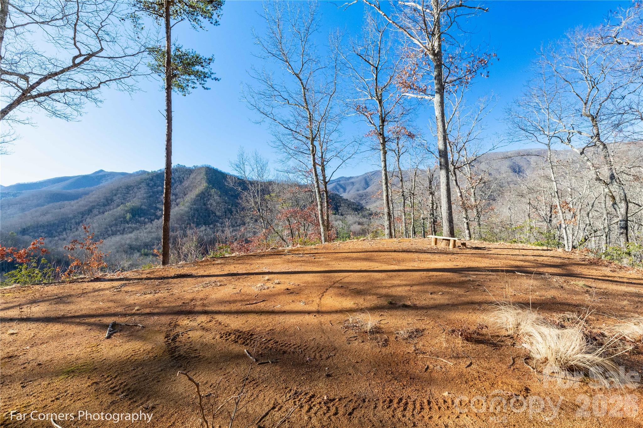 0000 Sourwood Road Canton NC 28716