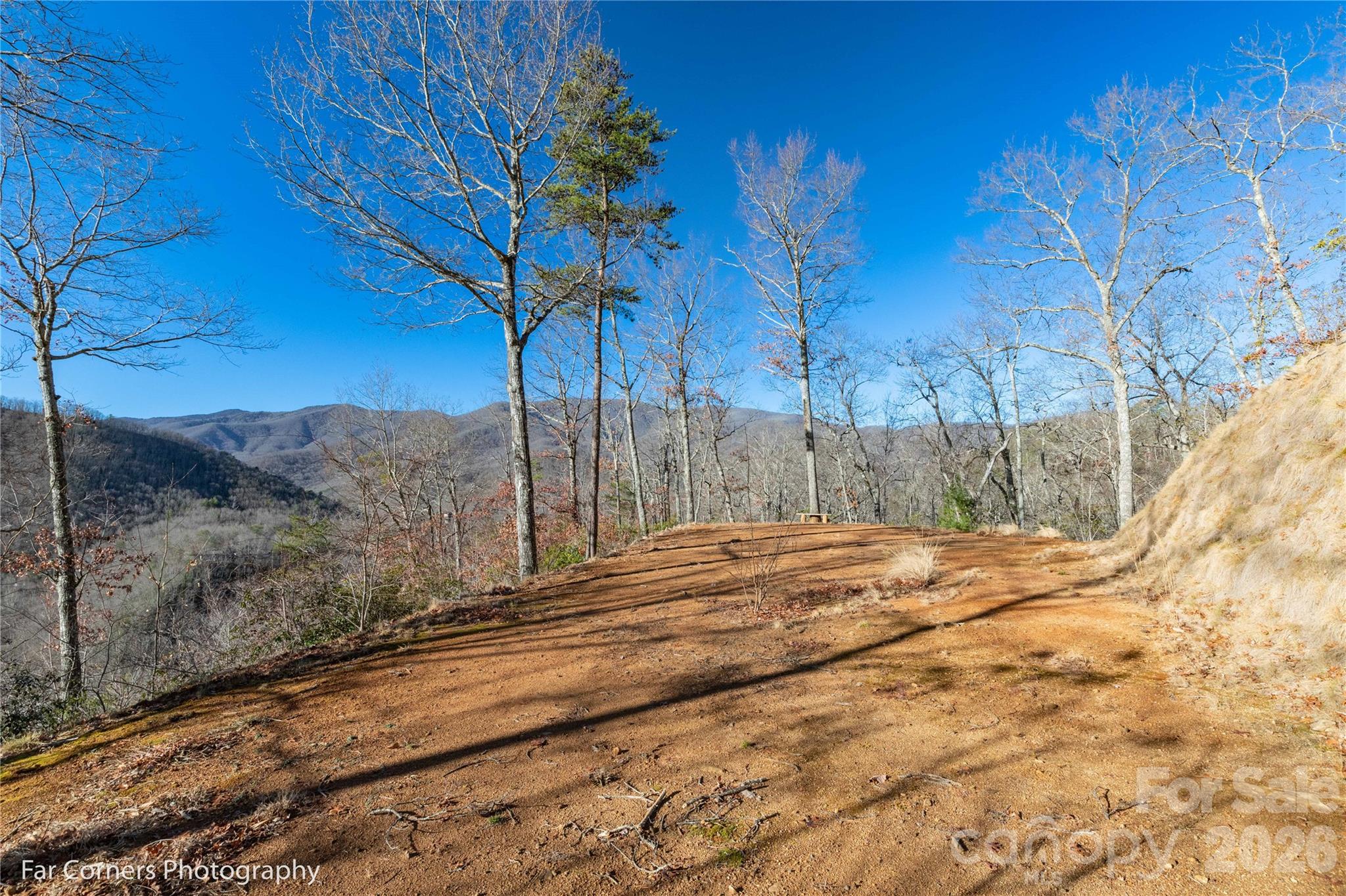 0000 Sourwood Road Canton NC 28716