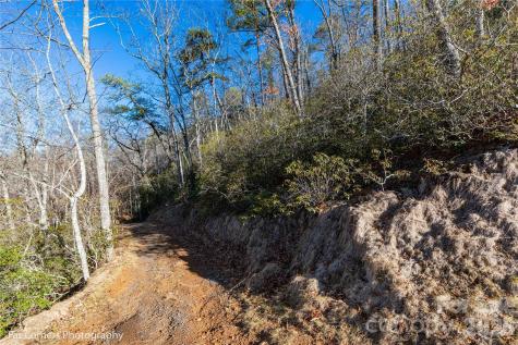 0000 Sourwood Road Canton NC 28716