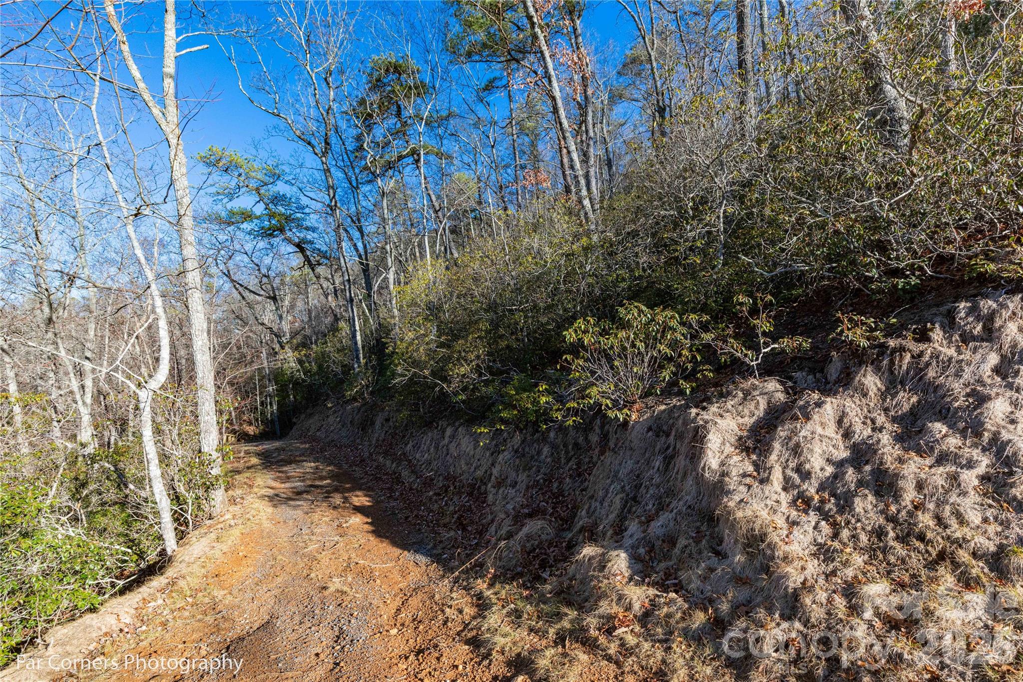 0000 Sourwood Road Canton NC 28716