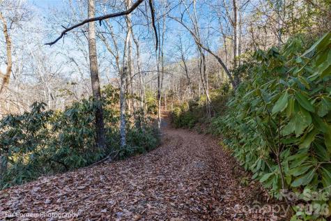 0000 Sourwood Road Canton NC 28716