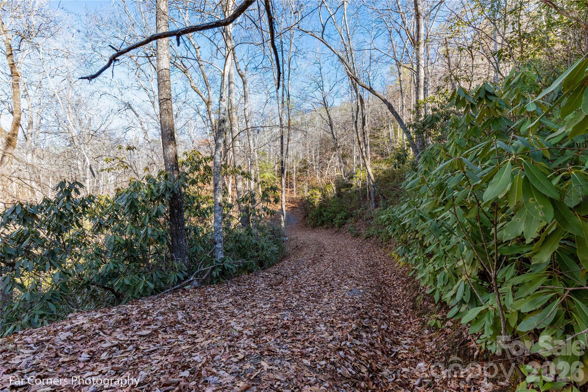 0000 Sourwood Road Canton NC 28716