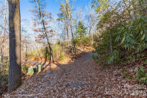 0000 Sourwood Road Canton NC 28716