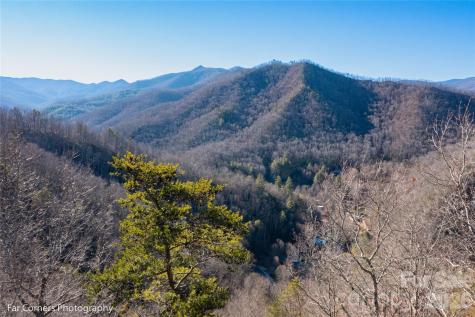 0000 Sourwood Road Canton NC 28716