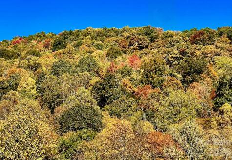 0000 Sourwood Road Canton NC 28716