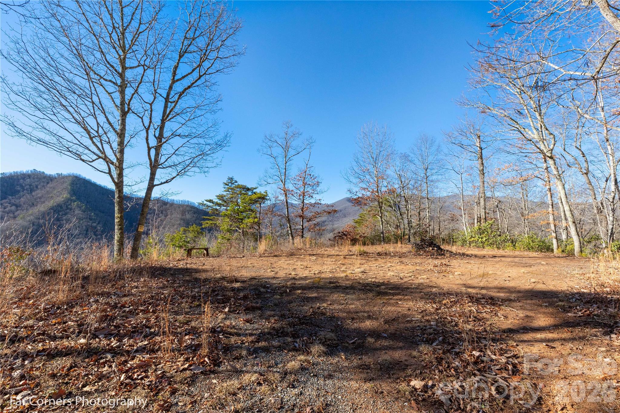 0000 Sourwood Road Canton NC 28716