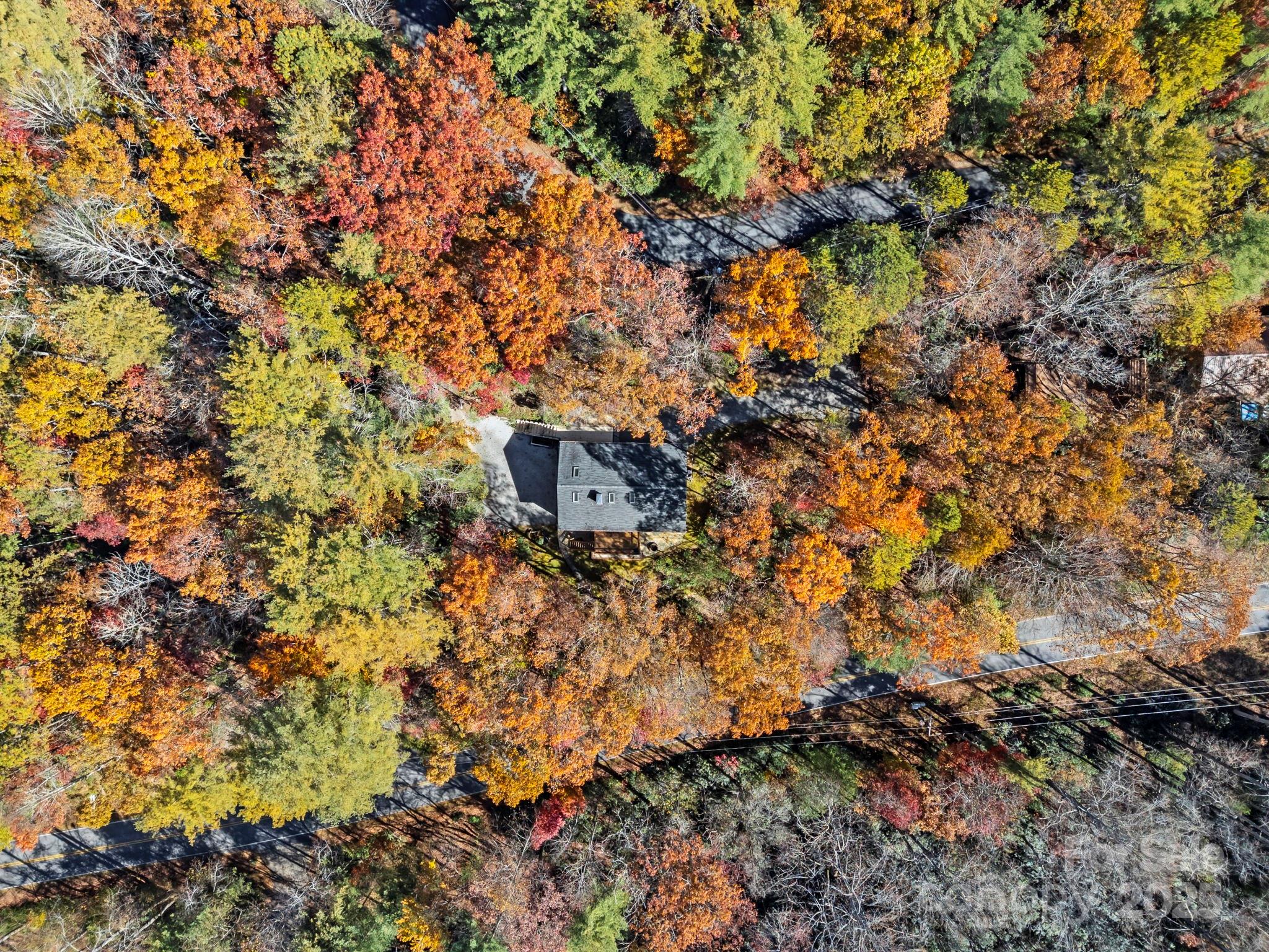 2149 Williamson Creek Road Pisgah Forest NC 28768