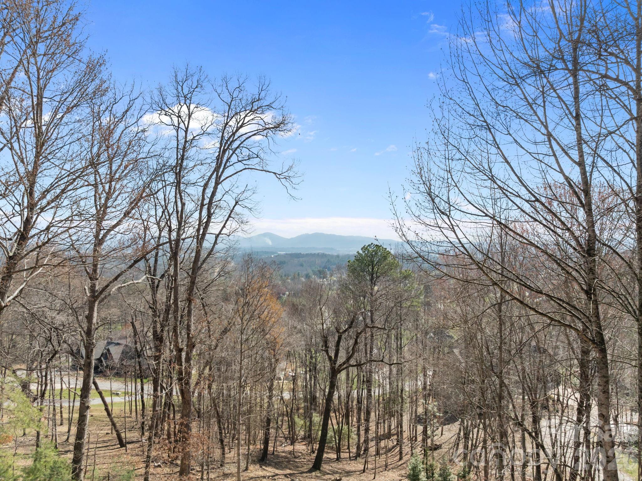 1105 High Vista Drive Mills River NC 28759