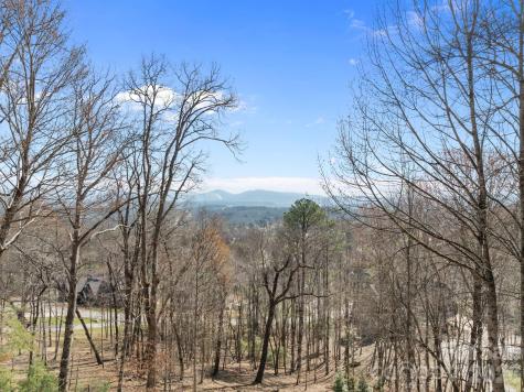 1105 High Vista Drive Mills River NC 28759