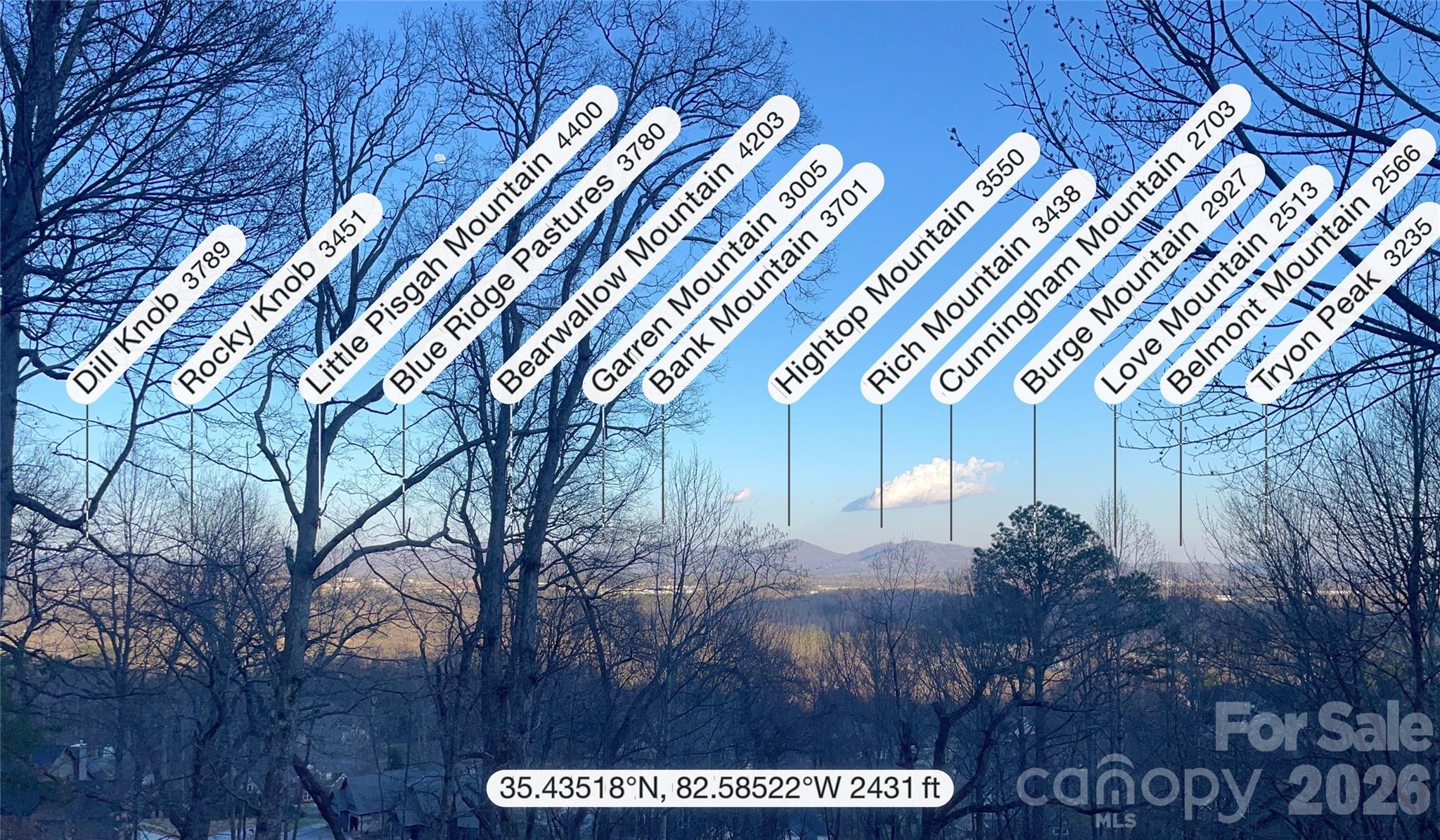 1105 High Vista Drive Mills River NC 28759