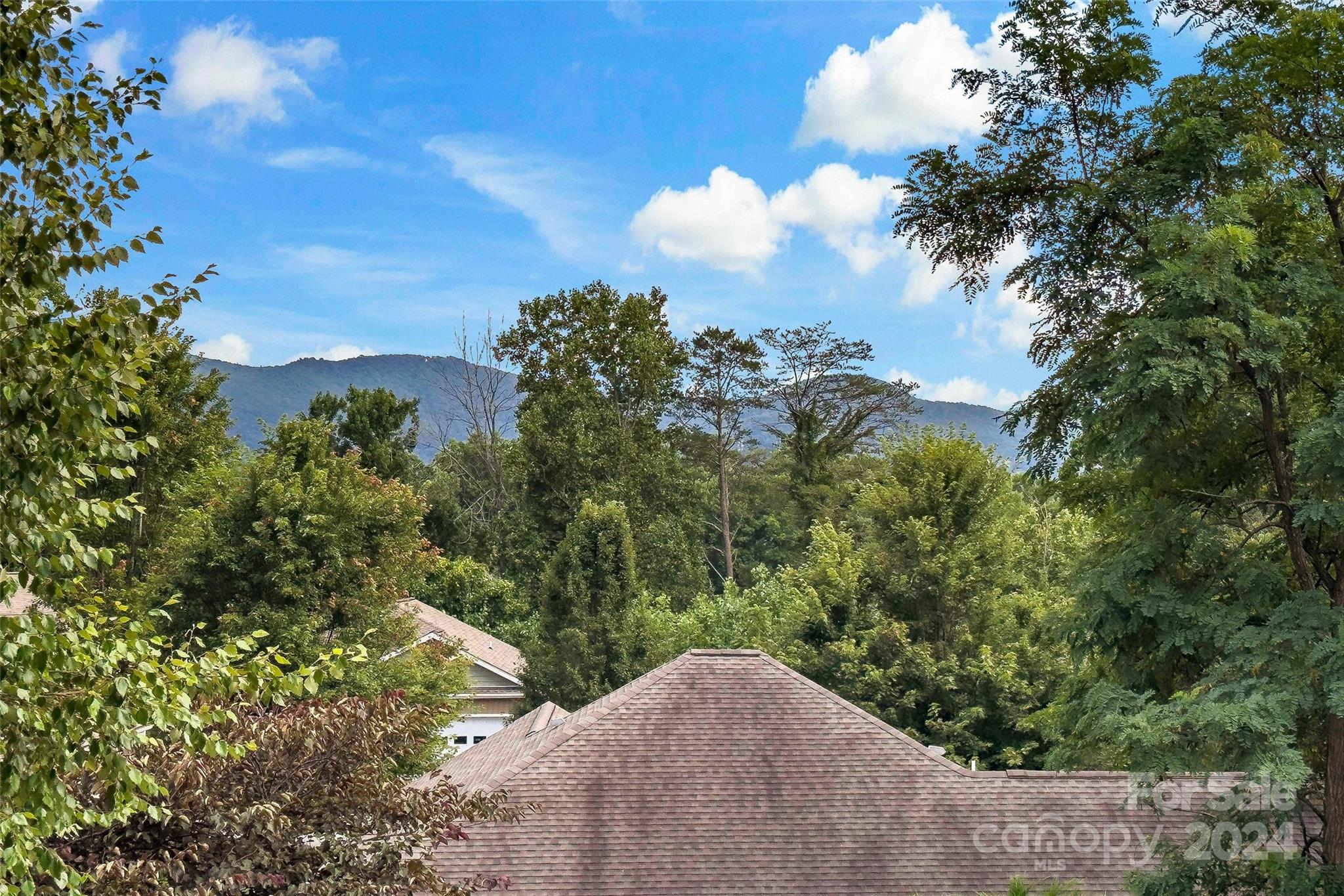 5 Village Overlook Loop Swannanoa NC 28778
