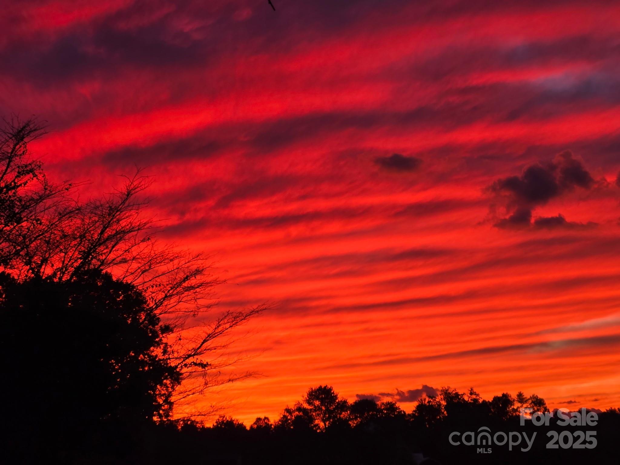 12 Timbers Edge Lane Fairview NC 28730