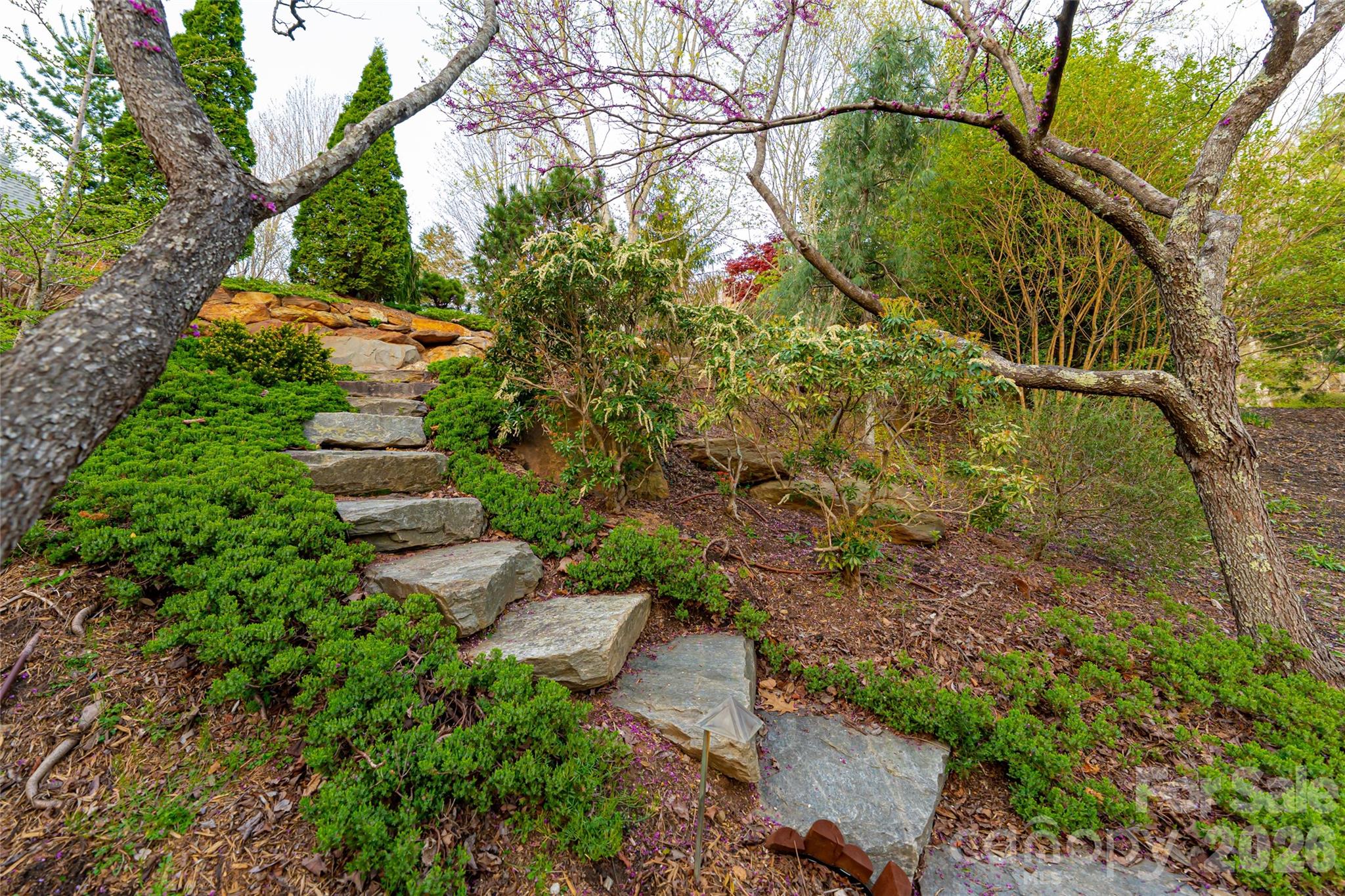 256 Senator Reynolds Road Asheville NC 28804