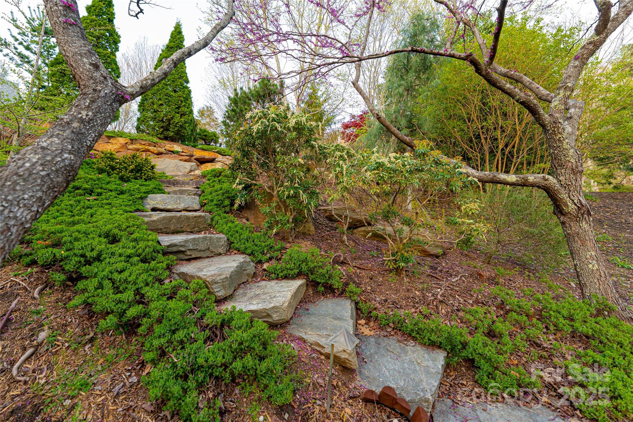 256 Senator Reynolds Road Asheville NC 28804