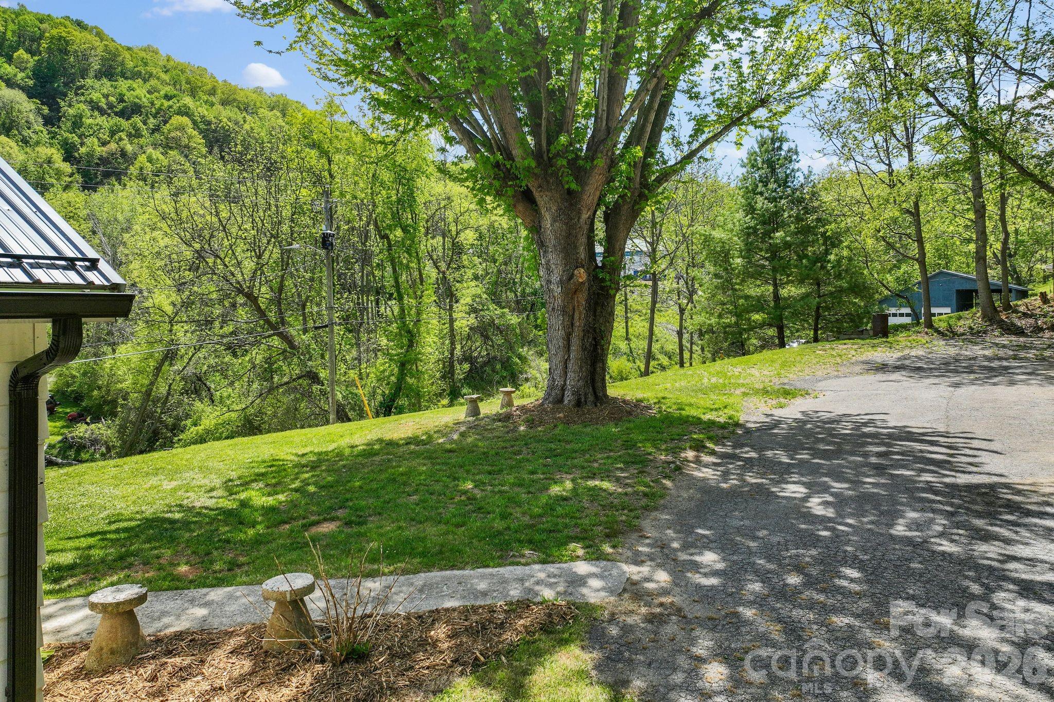 88 Mingus Cove Road Canton NC 28716